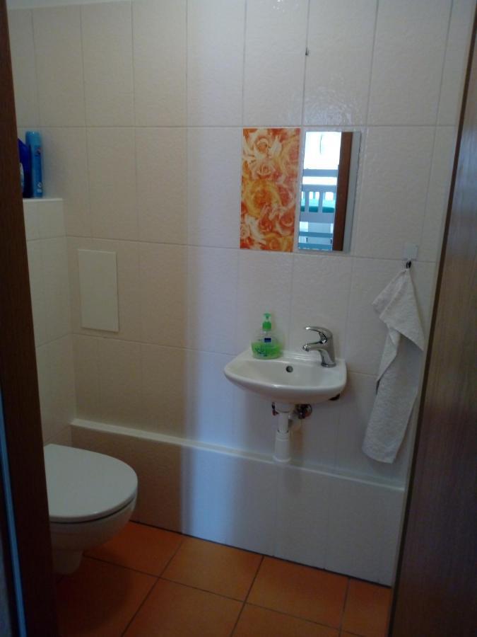 Apartman29 Lipno nad Vltavou Ngoại thất bức ảnh